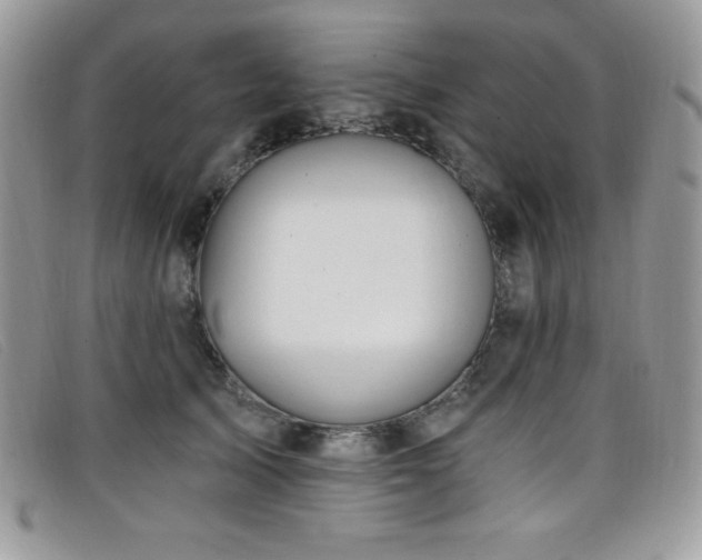 X0000099320705200805021313