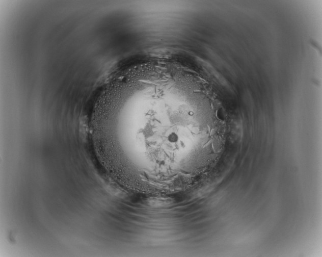 X0000099320707200805021313