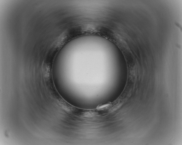 X0000099320708200805021313