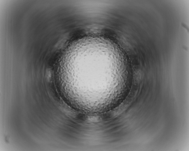 X0000099320709200805021313