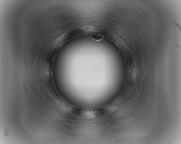 X0000099320710200805021313