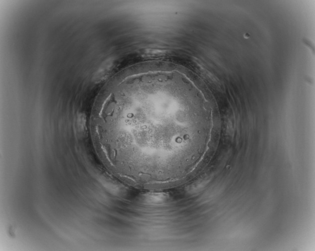 X0000099320711200805021313