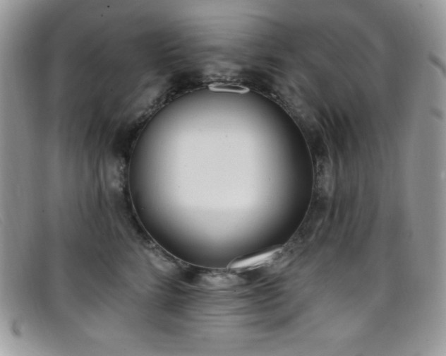 X0000099320712200805021313