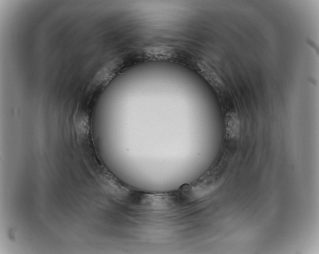 X0000099320713200805021313