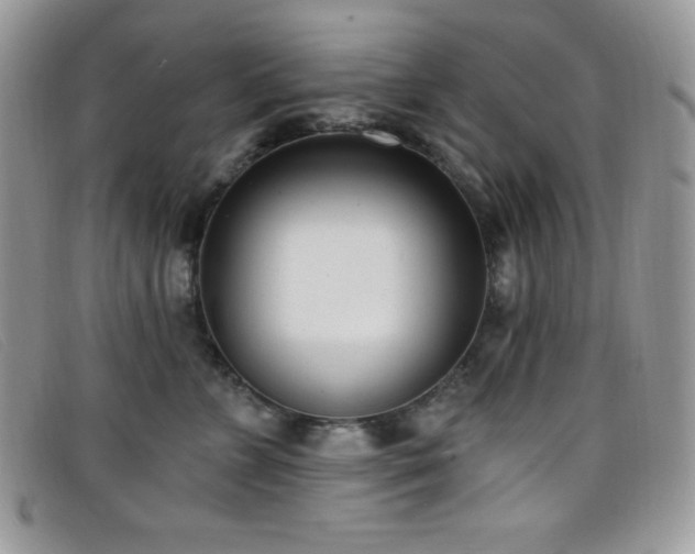 X0000099320715200805021313