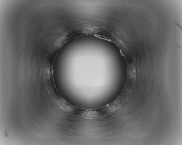 X0000099320716200805021313