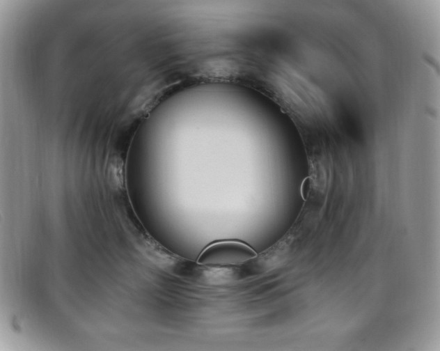 X0000099320718200805021313