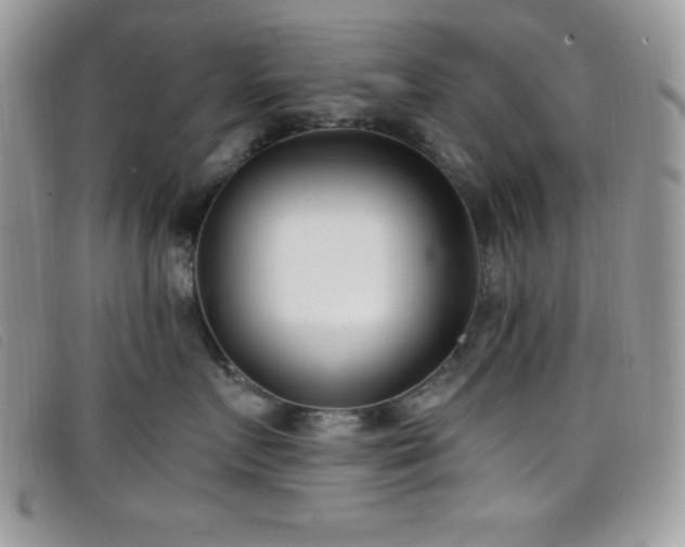 X0000099320719200805021313