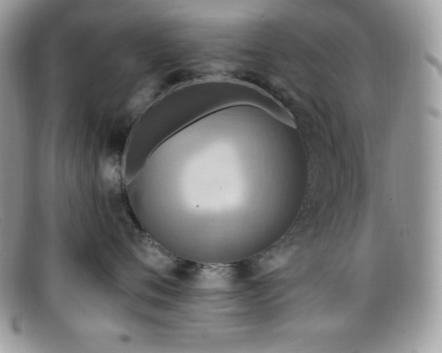 X0000099320720200805021313