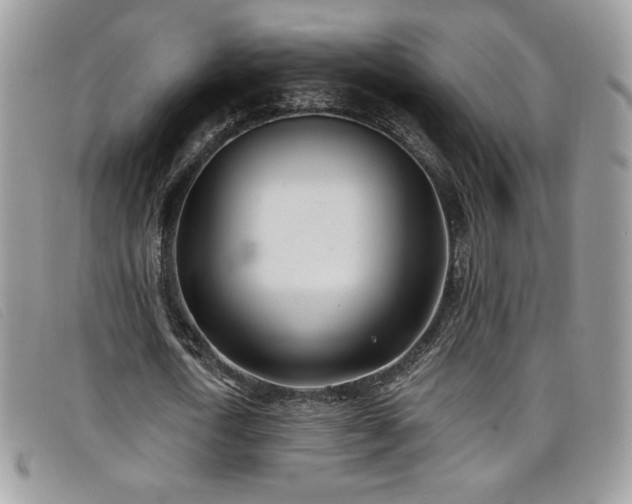 X0000099320722200805021313