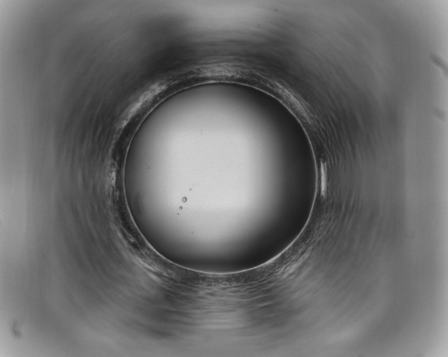 X0000099320723200805021313