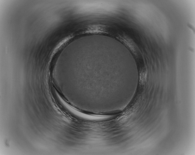 X0000099320724200805021313