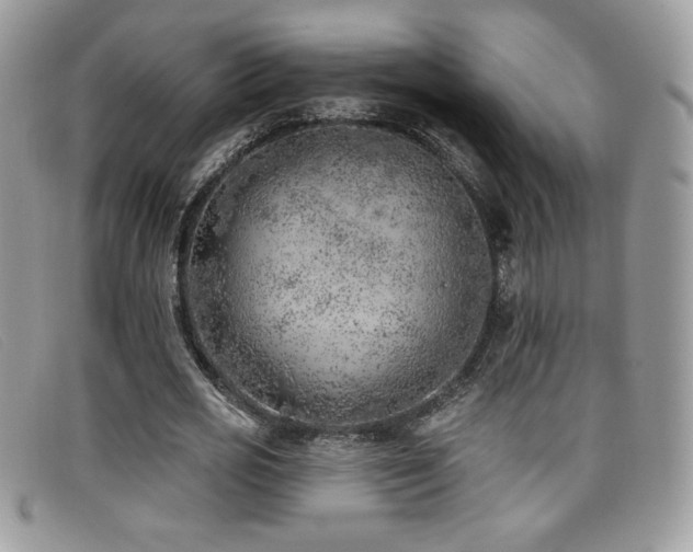 X0000099320725200805021313