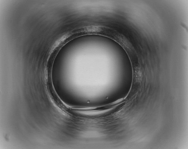 X0000099320726200805021313