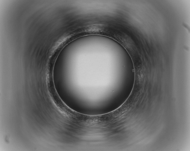 X0000099320728200805021313