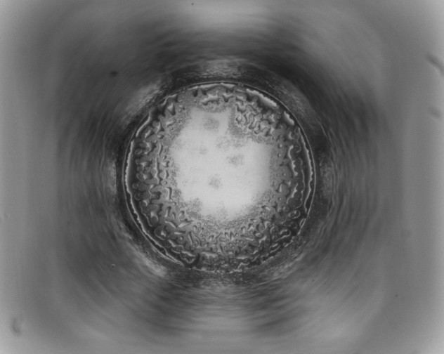 X0000099320729200805021313