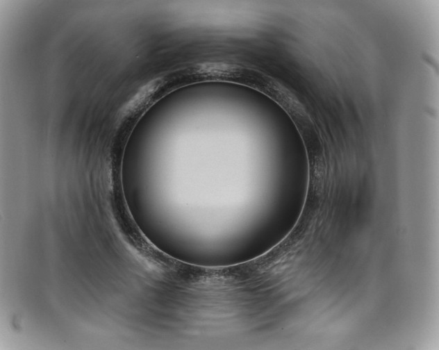X0000099320734200805021313