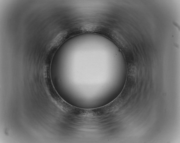X0000099320738200805021313