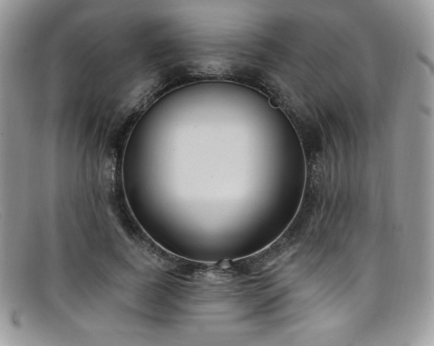 X0000099320739200805021313