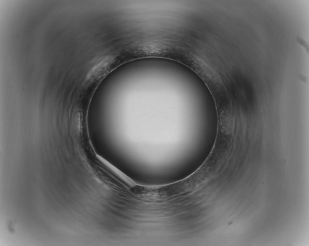 X0000099320740200805021313