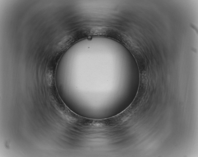X0000099320741200805021313