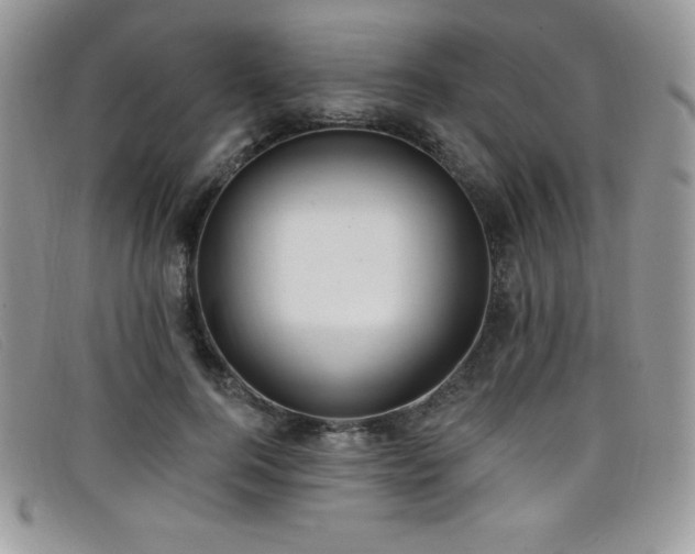 X0000099320744200805021313