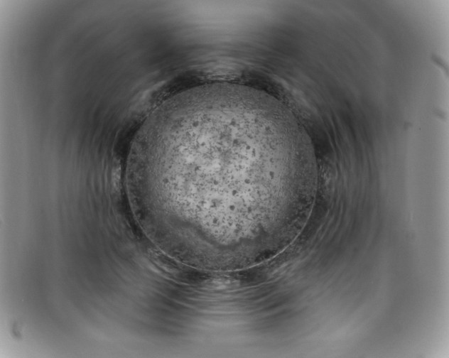 X0000099320745200805021313
