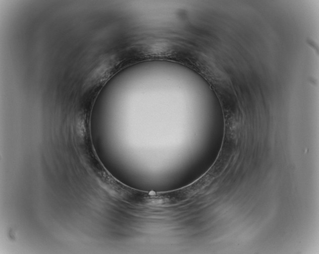 X0000099320746200805021313