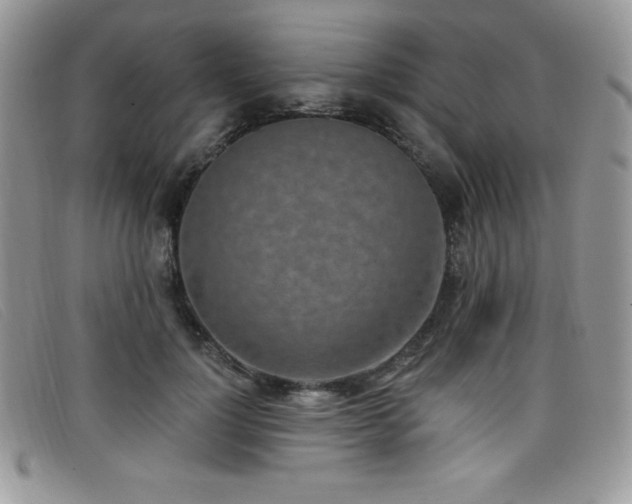 X0000099320748200805021313
