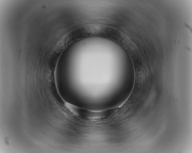 X0000099320750200805021313