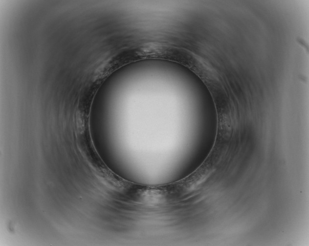 X0000099320751200805021313