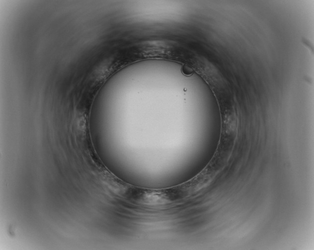 X0000099320753200805021313