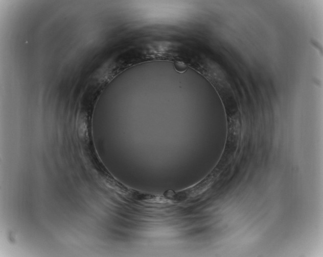 X0000099320754200805021313