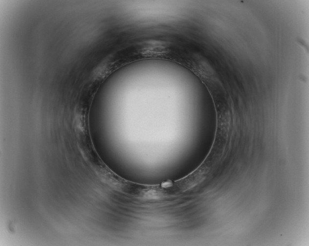 X0000099320755200805021313