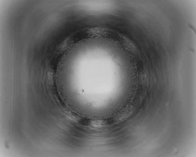X0000099320757200805021313