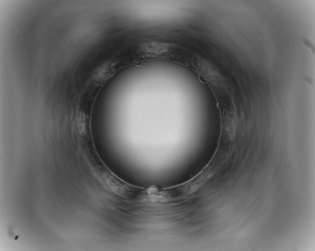 X0000099320758200805021313