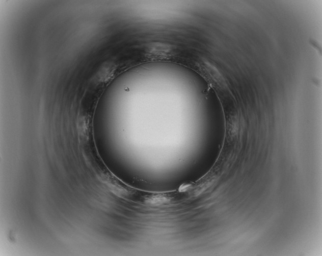 X0000099320759200805021313