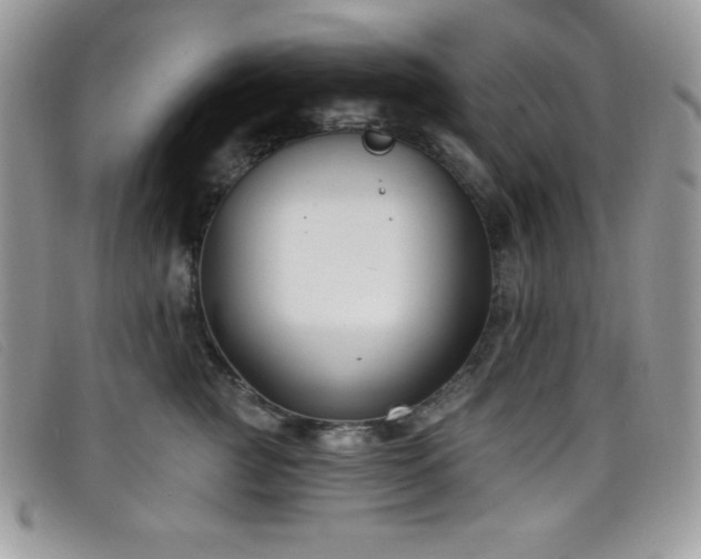 X0000099320761200805021313