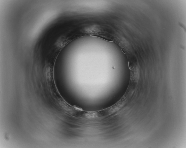 X0000099320762200805021313