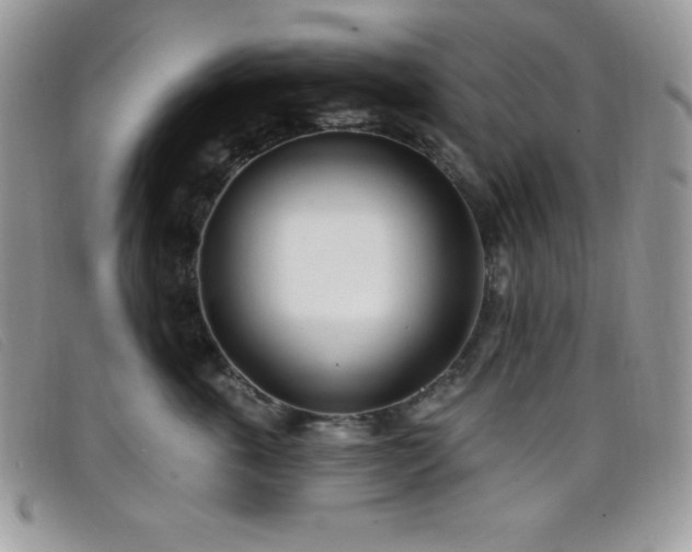 X0000099320763200805021313