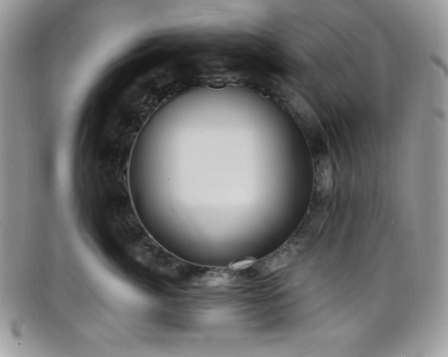 X0000099320764200805021313