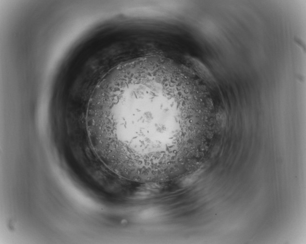 X0000099320765200805021313