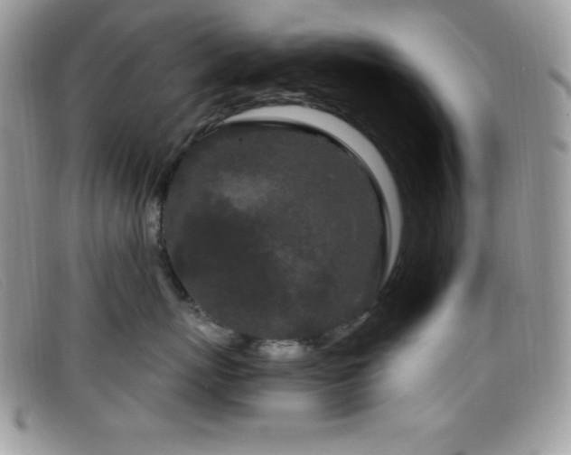 X0000099320767200805021313