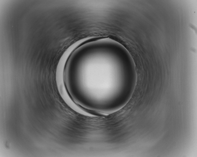 X0000099320768200805021313