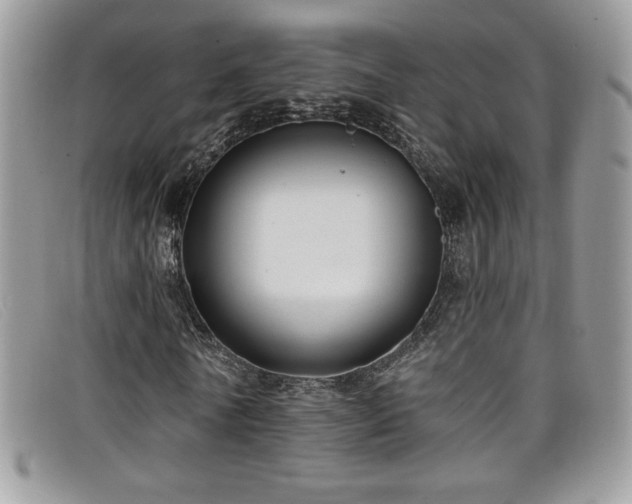X0000099320770200805021313
