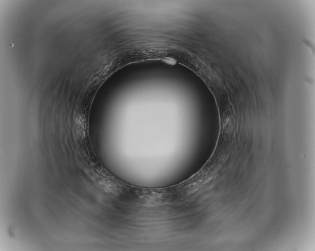 X0000099320772200805021312