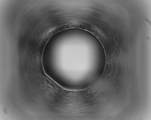 X0000099320773200805021312