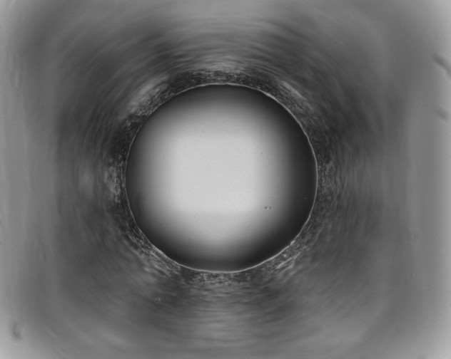 X0000099320774200805021312