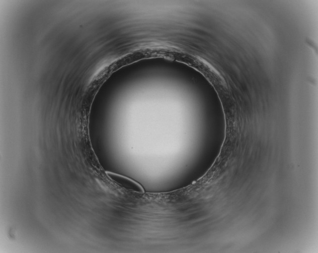 X0000099320775200805021312