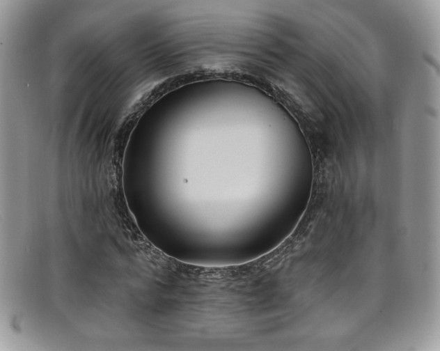 X0000099320776200805021312